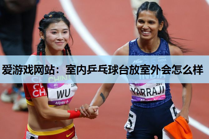 爱游戏网站：室内乒乓球台放室外会怎么样