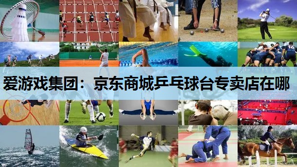 爱游戏集团：京东商城乒乓球台专卖店在哪