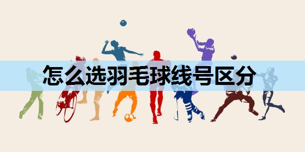 怎么选羽毛球线号区分