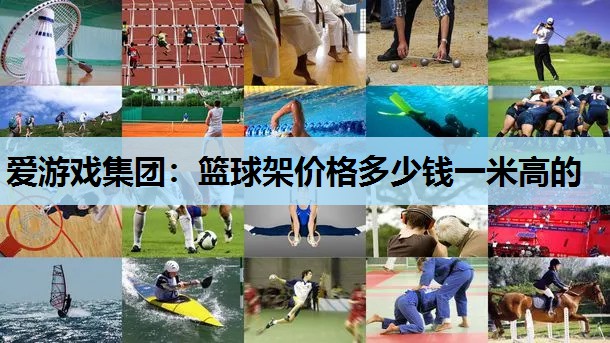 爱游戏集团：篮球架价格多少钱一米高的
