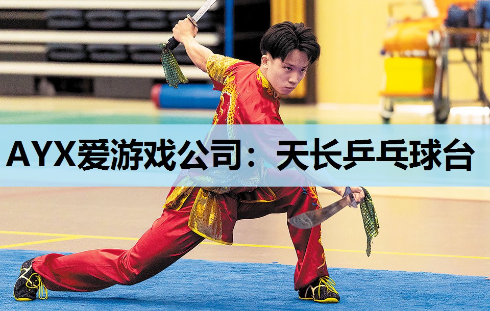 天长乒乓球台 天长乒乓球台