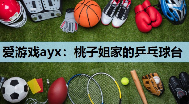桃子姐家的乒乓球台 桃子姐家的乒乓球台
