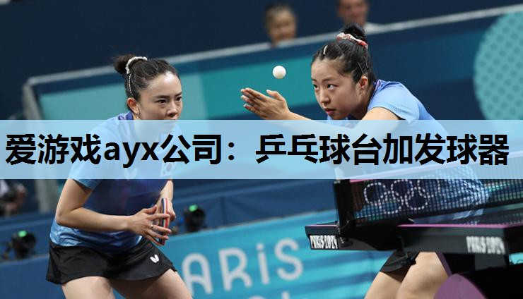 乒乓球台加发球器 乒乓球台加发球器