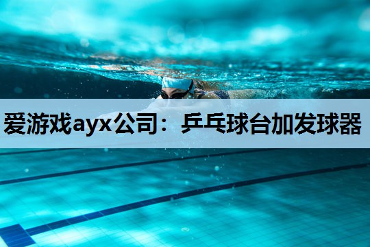 乒乓球台加发球器 乒乓球台加发球器