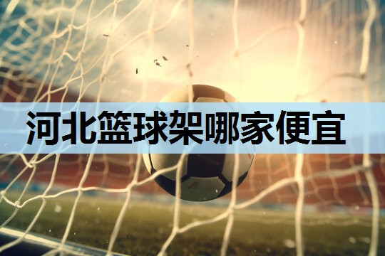 河北篮球架哪家便宜 河北篮球架哪家便宜