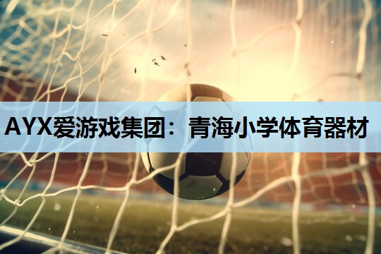 青海小学体育器材 青海小学体育器材