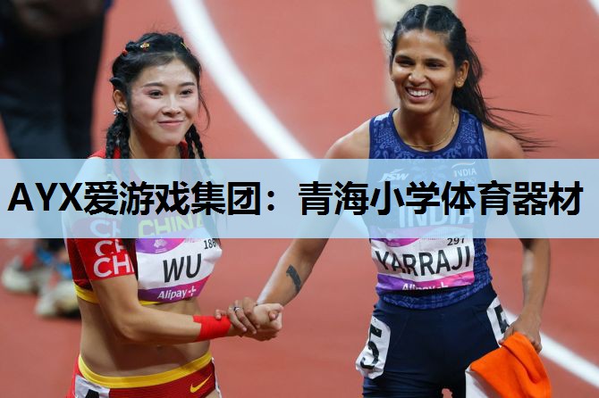 青海小学体育器材 青海小学体育器材