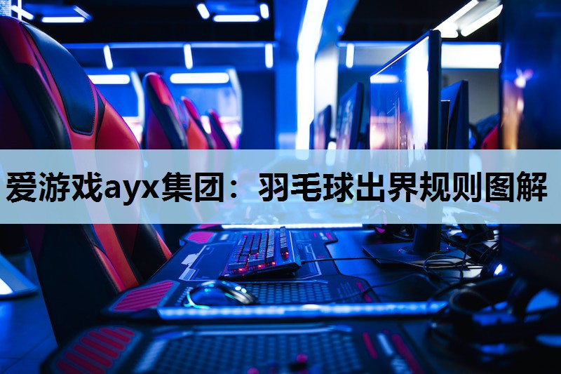 羽毛球出界规则图解 羽毛球出界规则图解