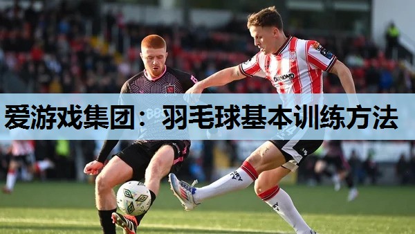 羽毛球基本训练方法 羽毛球基本训练方法