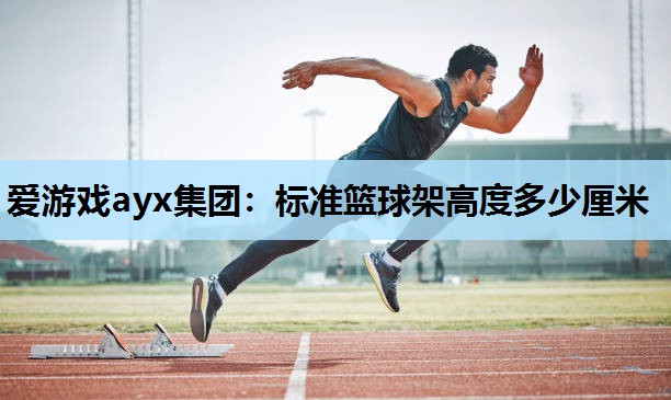 标准篮球架高度多少厘米 标准篮球架高度多少厘米