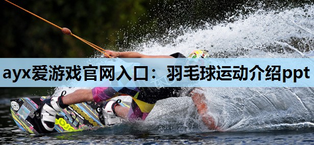 羽毛球运动介绍ppt 羽毛球运动介绍ppt