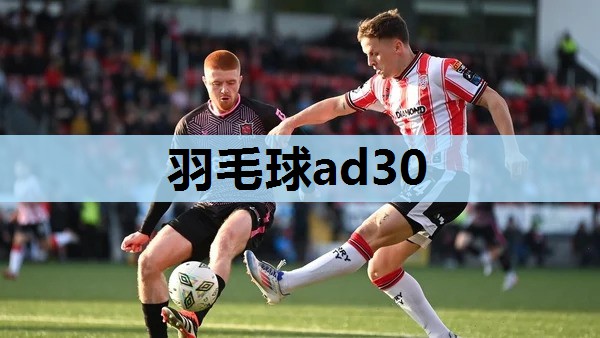羽毛球ad30 羽毛球ad30