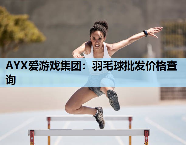 羽毛球批发价格查询 羽毛球批发价格查询