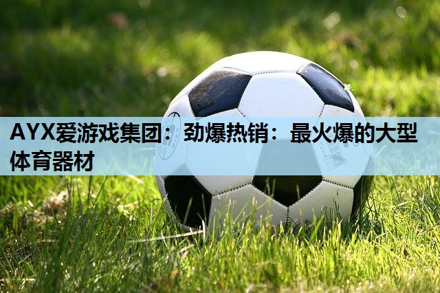 劲爆热销:最火爆的大型体育器材 劲爆热销:最火爆的大型体育器材