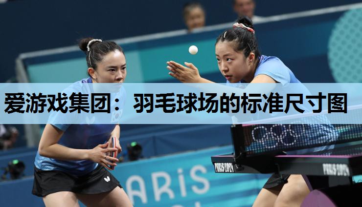 羽毛球场的标准尺寸图 羽毛球场的标准尺寸图