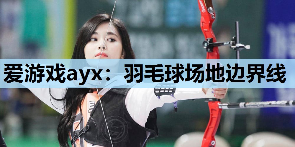 羽毛球场地边界线 羽毛球场地边界线