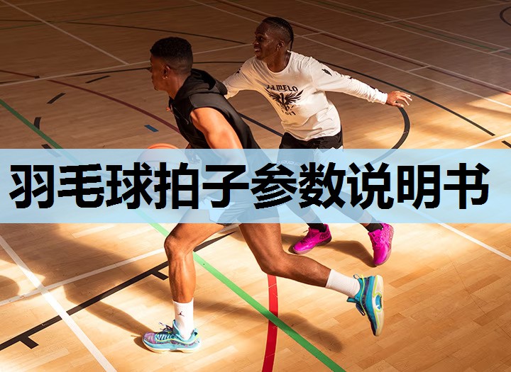 羽毛球拍子参数说明书 羽毛球拍子参数说明书