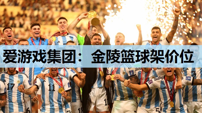 金陵篮球架价位 金陵篮球架价位